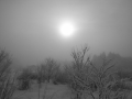 [Freezing misty morning (Ricoh Caplio R4)]